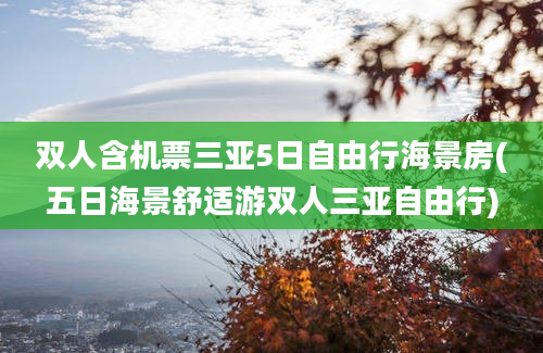 双人含机票三亚5日自由行海景房(五日海景舒适游双人三亚自由行)