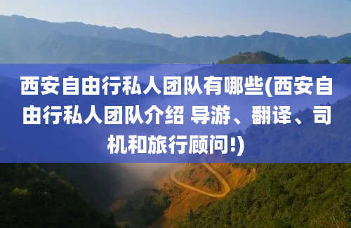 西安自由行私人团队有哪些(西安自由行私人团队介绍 导游、翻译、司机和旅行顾问!)