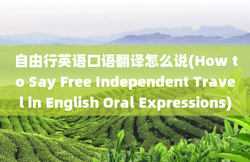 自由行英语口语翻译怎么说(How to Say Free Independent Travel in English Oral Expressions)