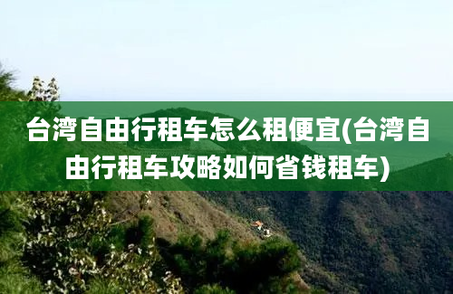 台湾自由行租车怎么租便宜(台湾自由行租车攻略如何省钱租车)