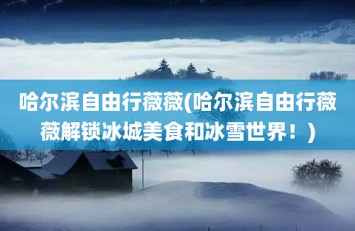 哈尔滨自由行薇薇(哈尔滨自由行薇薇解锁冰城美食和冰雪世界！)