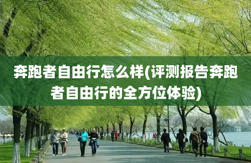 奔跑者自由行怎么样(评测报告奔跑者自由行的全方位体验)