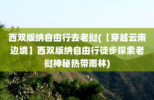 西双版纳自由行去老挝(【穿越云南边境】西双版纳自由行徒步探索老挝神秘热带雨林)