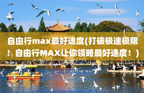 自由行max最好速度(打破极速极限！自由行MAX让你领略最好速度！)