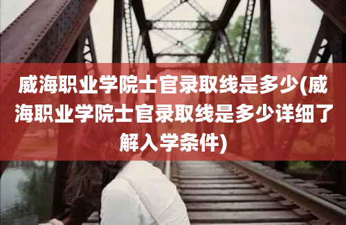 威海职业学院士官录取线是多少(威海职业学院士官录取线是多少详细了解入学条件)