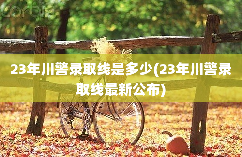 23年川警录取线是多少(23年川警录取线最新公布)