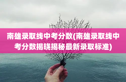 南雄录取线中考分数(南雄录取线中考分数揭晓揭秘最新录取标准)