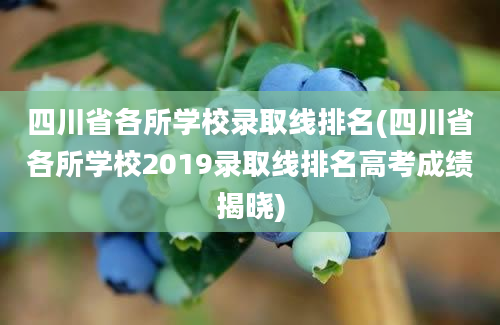 四川省各所学校录取线排名(四川省各所学校2019录取线排名高考成绩揭晓)