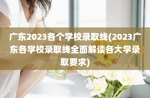 广东2023各个学校录取线(2023广东各学校录取线全面解读各大学录取要求)