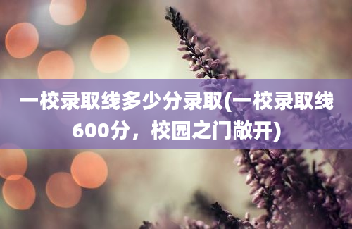 一校录取线多少分录取(一校录取线600分，校园之门敞开)