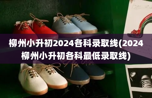 柳州小升初2024各科录取线(2024柳州小升初各科最低录取线)