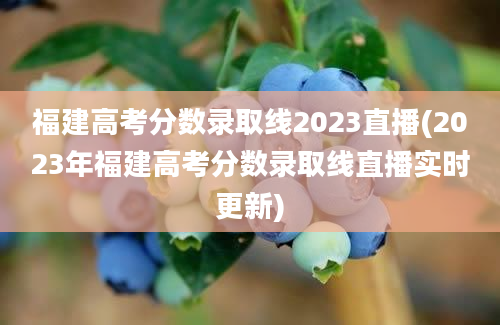 福建高考分数录取线2023直播(2023年福建高考分数录取线直播实时更新)