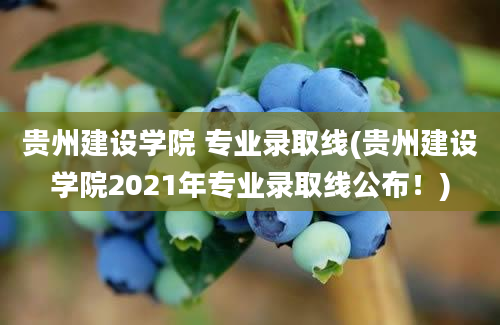 贵州建设学院 专业录取线(贵州建设学院2021年专业录取线公布！)