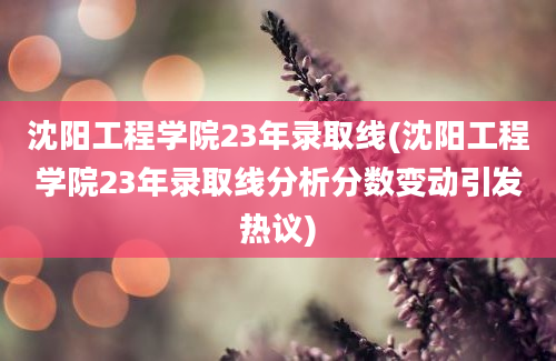 沈阳工程学院23年录取线(沈阳工程学院23年录取线分析分数变动引发热议)