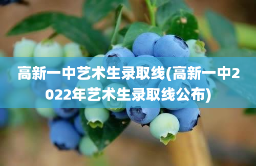 高新一中艺术生录取线(高新一中2022年艺术生录取线公布)