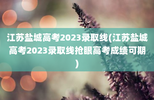 江苏盐城高考2023录取线(江苏盐城高考2023录取线抢眼高考成绩可期)