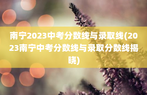 南宁2023中考分数线与录取线(2023南宁中考分数线与录取分数线揭晓)