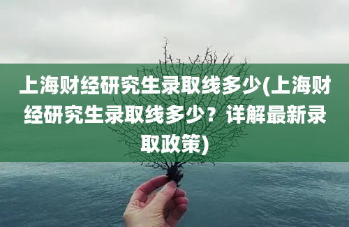 上海财经研究生录取线多少(上海财经研究生录取线多少？详解最新录取政策)