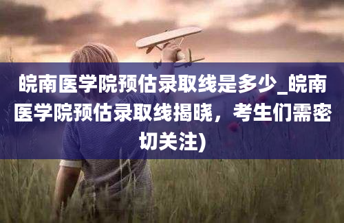 皖南医学院预估录取线是多少_皖南医学院预估录取线揭晓，考生们需密切关注)