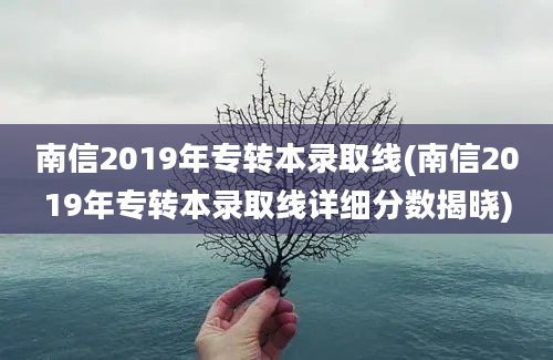 南信2019年专转本录取线(南信2019年专转本录取线详细分数揭晓)