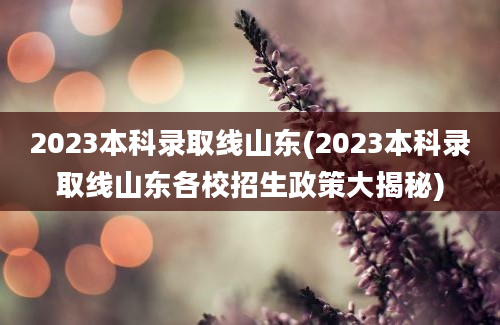 2023本科录取线山东(2023本科录取线山东各校招生政策大揭秘)