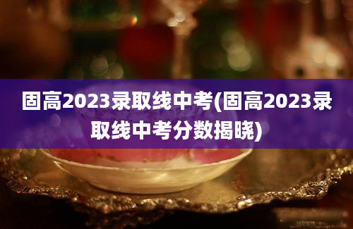 固高2023录取线中考(固高2023录取线中考分数揭晓)