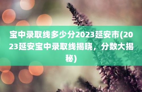 宝中录取线多少分2023延安市(2023延安宝中录取线揭晓，分数大揭秘)