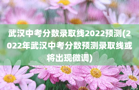 武汉中考分数录取线2022预测(2022年武汉中考分数预测录取线或将出现微调)