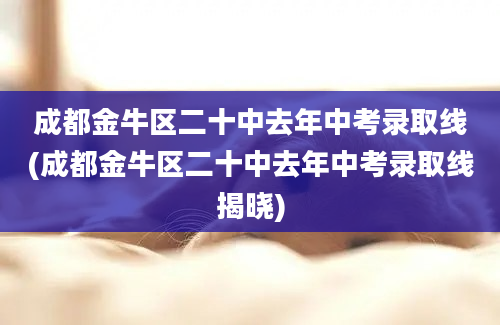 成都金牛区二十中去年中考录取线(成都金牛区二十中去年中考录取线揭晓)