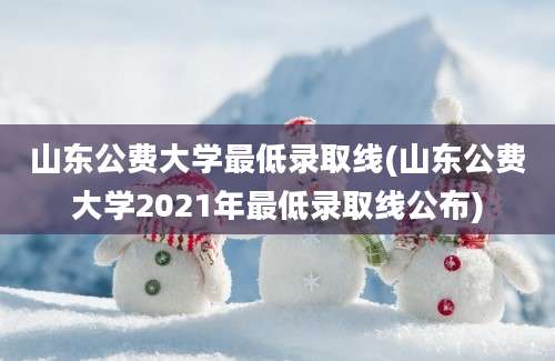 山东公费大学最低录取线(山东公费大学2021年最低录取线公布)