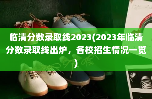 临清分数录取线2023(2023年临清分数录取线出炉，各校招生情况一览)