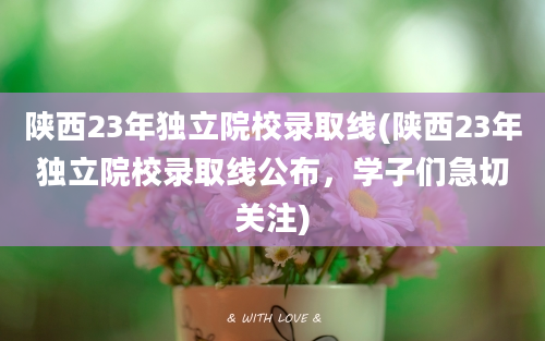 陕西23年独立院校录取线(陕西23年独立院校录取线公布，学子们急切关注)