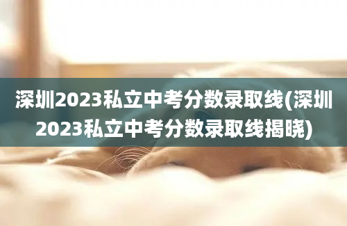 深圳2023私立中考分数录取线(深圳2023私立中考分数录取线揭晓)