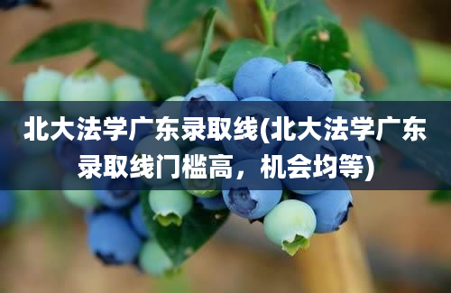 北大法学广东录取线(北大法学广东录取线门槛高，机会均等)