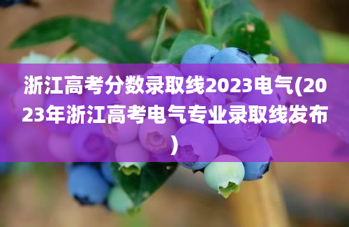 浙江高考分数录取线2023电气(2023年浙江高考电气专业录取线发布)