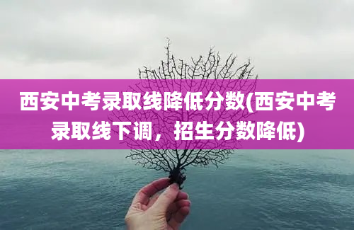 西安中考录取线降低分数(西安中考录取线下调，招生分数降低)