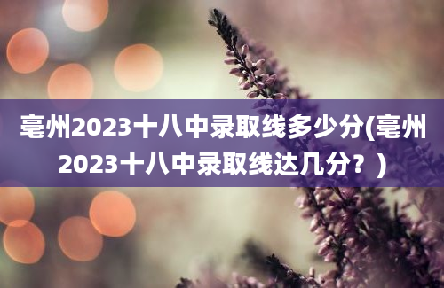 亳州2023十八中录取线多少分(亳州2023十八中录取线达几分？)