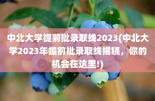 中北大学提前批录取线2023(中北大学2023年提前批录取线揭晓，你的机会在这里!)