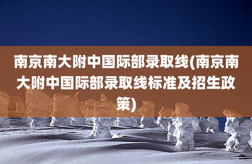 南京南大附中国际部录取线(南京南大附中国际部录取线标准及招生政策)