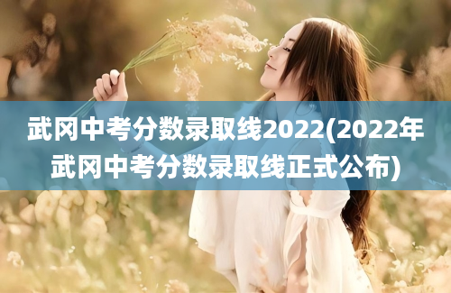 武冈中考分数录取线2022(2022年武冈中考分数录取线正式公布)