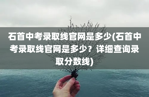 石首中考录取线官网是多少(石首中考录取线官网是多少？详细查询录取分数线)