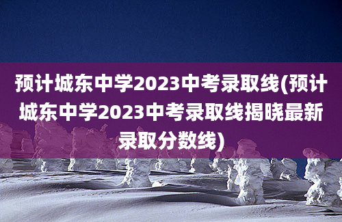 预计城东中学2023中考录取线(预计城东中学2023中考录取线揭晓最新录取分数线)