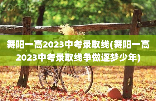 舞阳一高2023中考录取线(舞阳一高2023中考录取线争做逐梦少年)