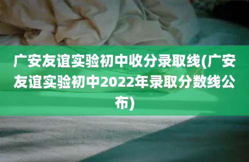 广安友谊实验初中收分录取线(广安友谊实验初中2022年录取分数线公布)