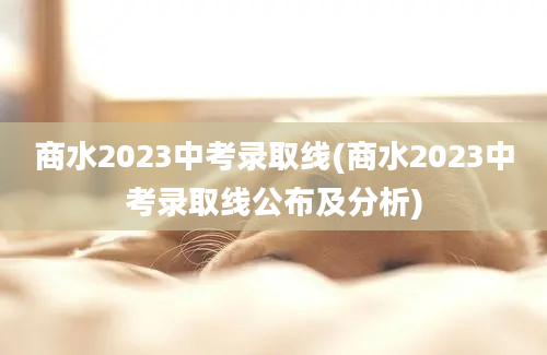 商水2023中考录取线(商水2023中考录取线公布及分析)