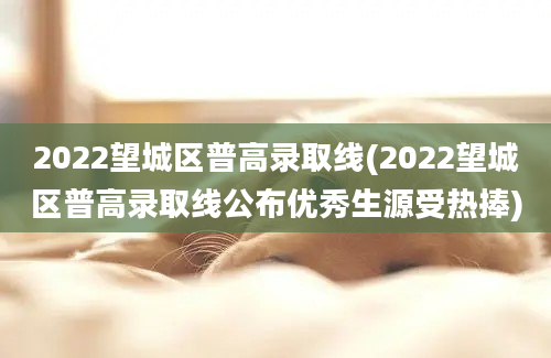 2022望城区普高录取线(2022望城区普高录取线公布优秀生源受热捧)