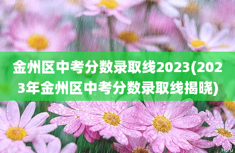 金州区中考分数录取线2023(2023年金州区中考分数录取线揭晓)