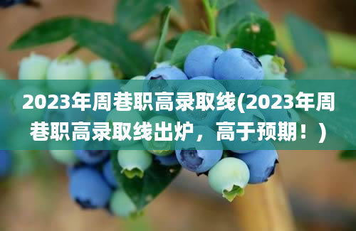 2023年周巷职高录取线(2023年周巷职高录取线出炉，高于预期！)