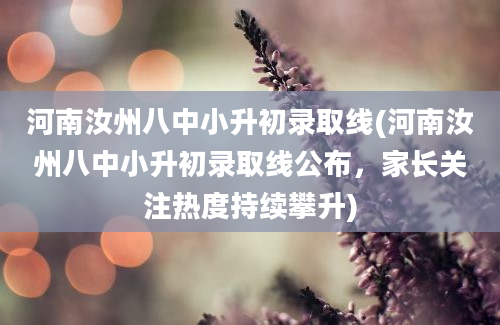 河南汝州八中小升初录取线(河南汝州八中小升初录取线公布，家长关注热度持续攀升)