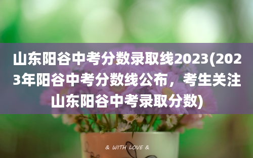 山东阳谷中考分数录取线2023(2023年阳谷中考分数线公布，考生关注山东阳谷中考录取分数)